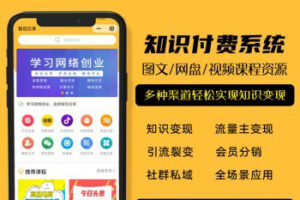 【知识付费系统】虚拟资源/微信小程序/激励广告流量主/多渠道变现